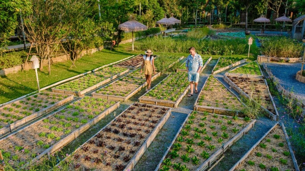 Stadtgrün im Betondschungel: Urbane Gärten und Gemeinschaftsbeete als Oasen der Lebensmittel- und Gemeinschaftsversorgung