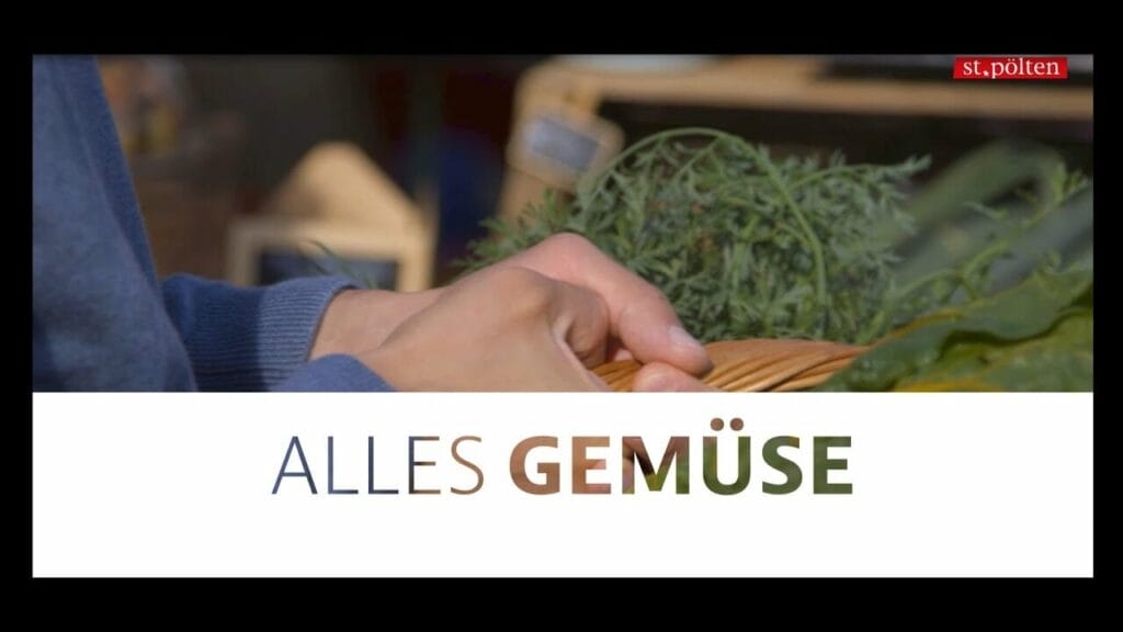 Alles Gemüse – St. Pöltner Märkte – der beliebteste Markt Österreichs