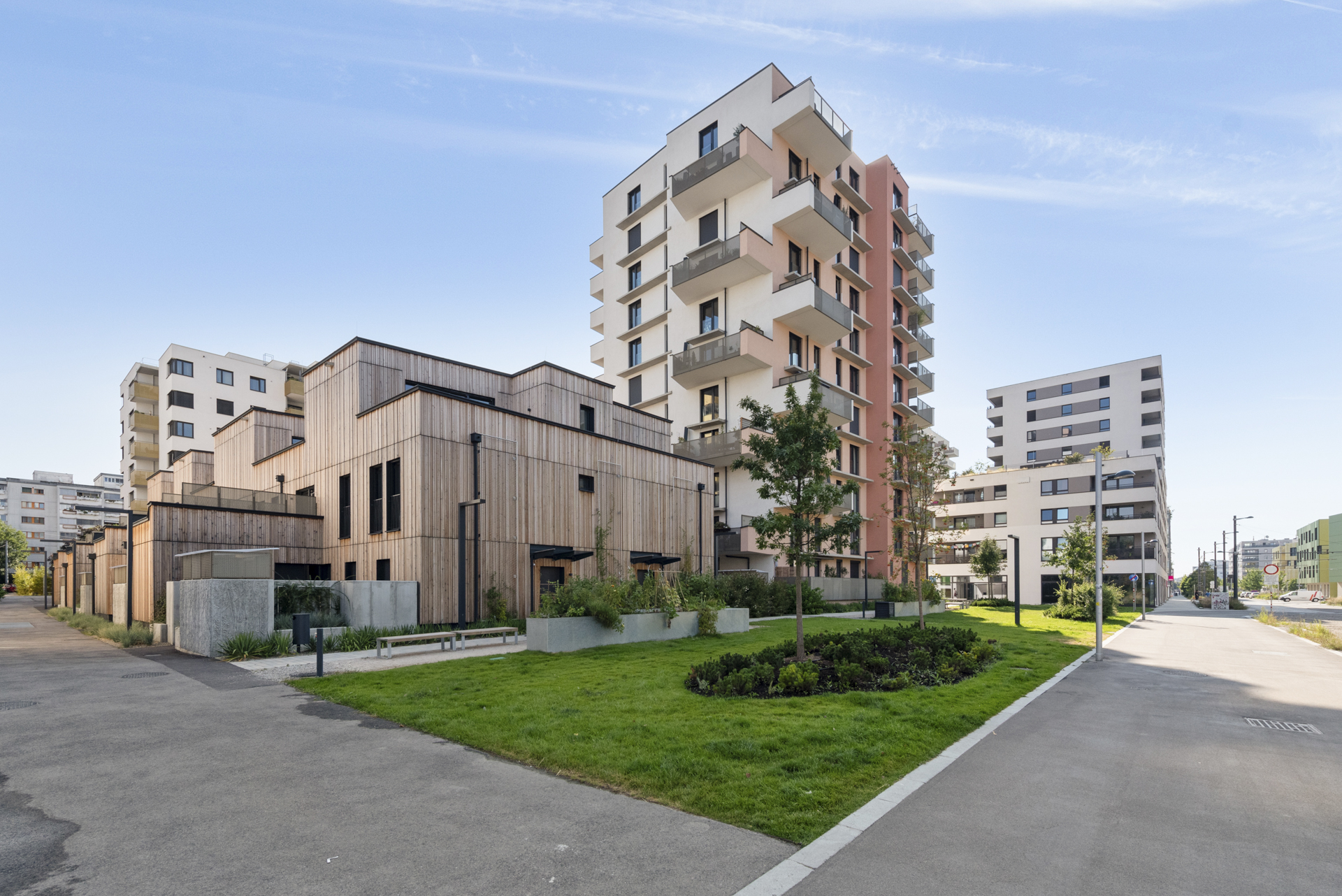 Titelbild von The Wild