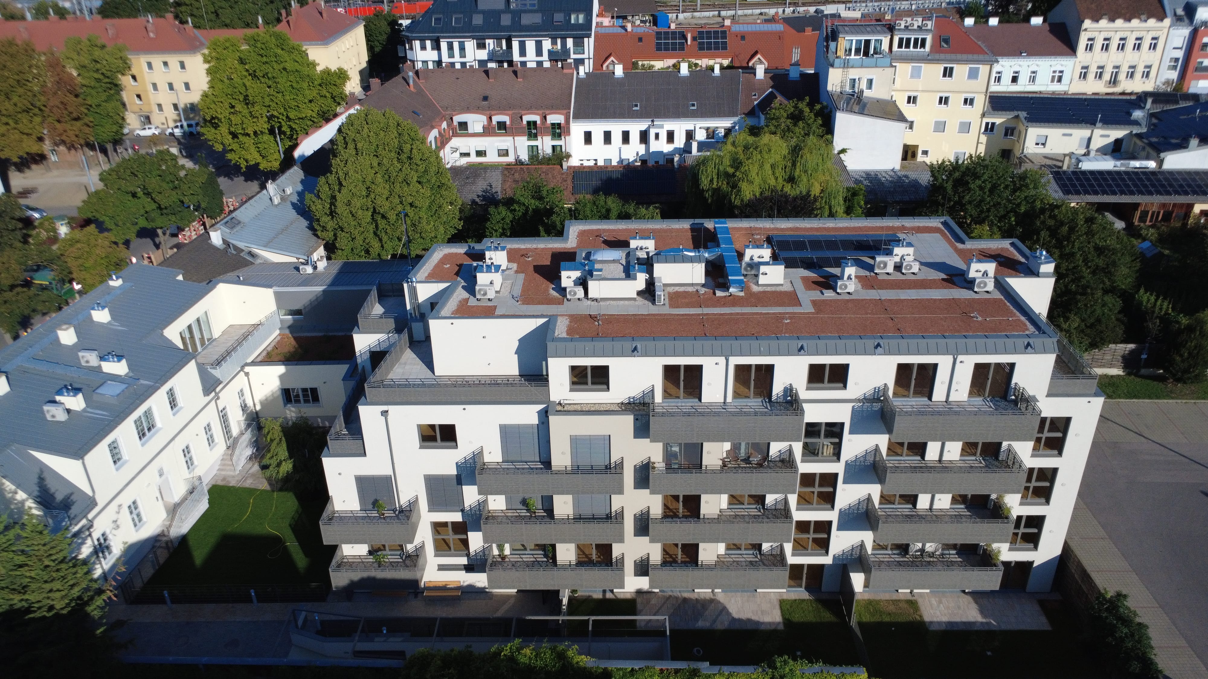 Titelbild von Die Perle von Stadlau