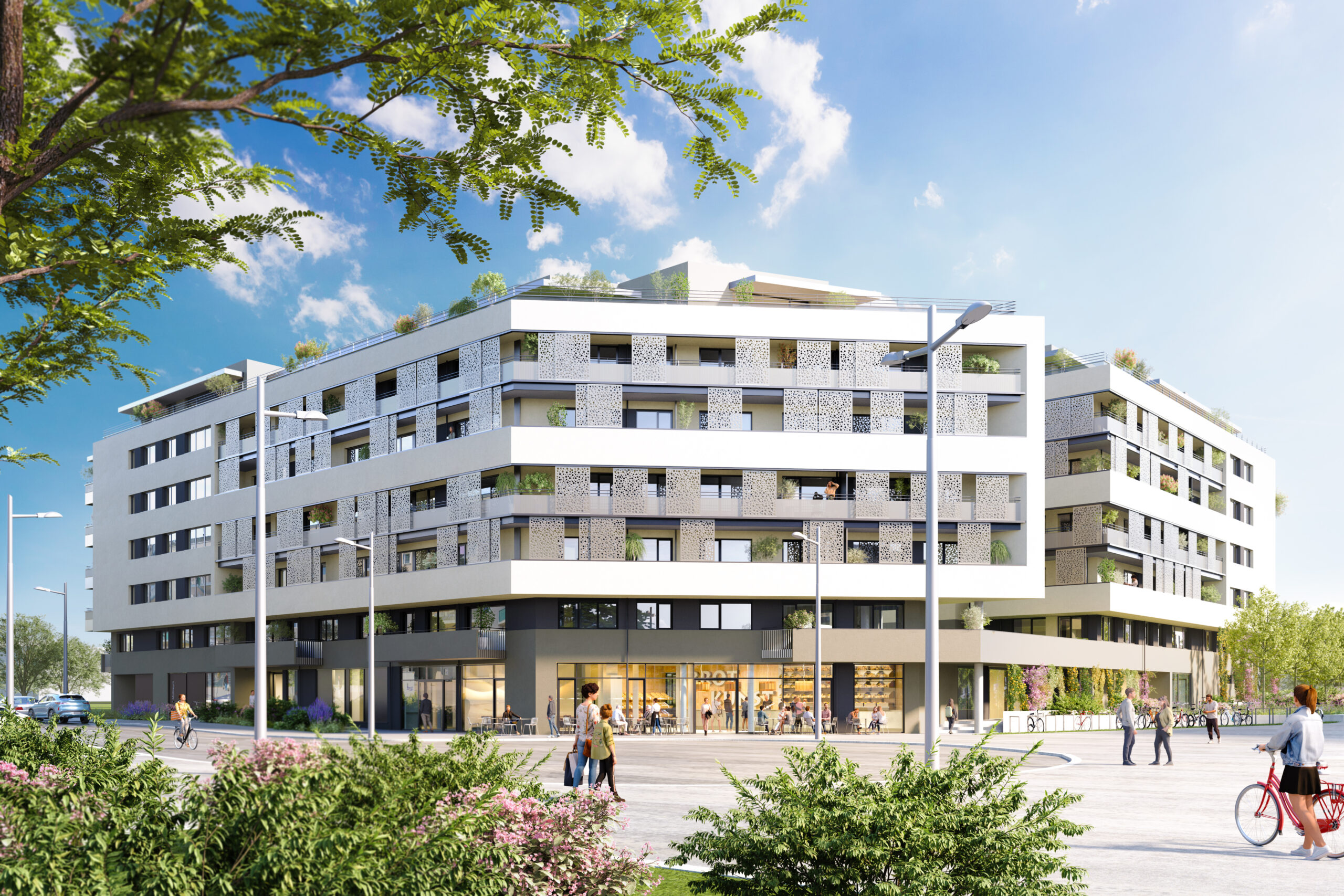 Titelbild von Laa Viola