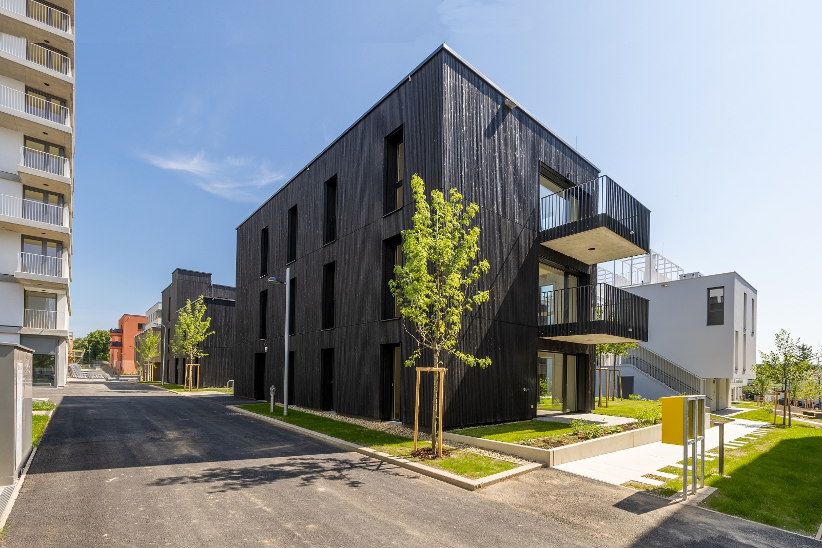 Titelbild von Wildgarten PB 11+20