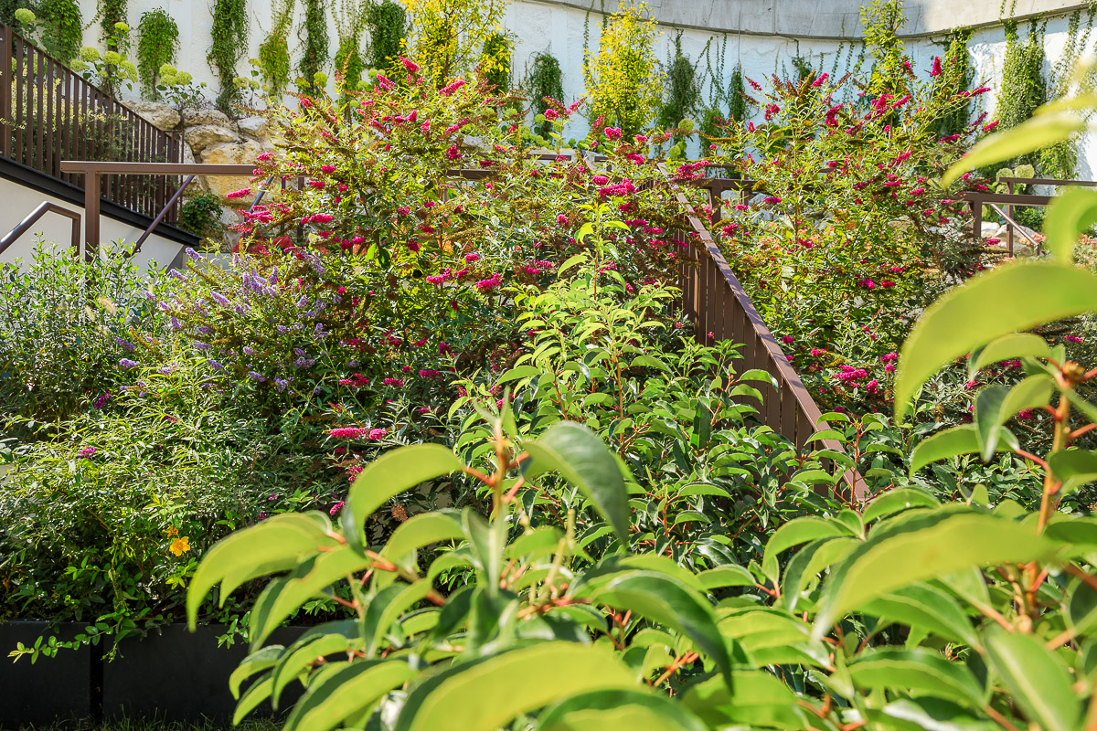 Titelbild von Ulreich Bauträger
