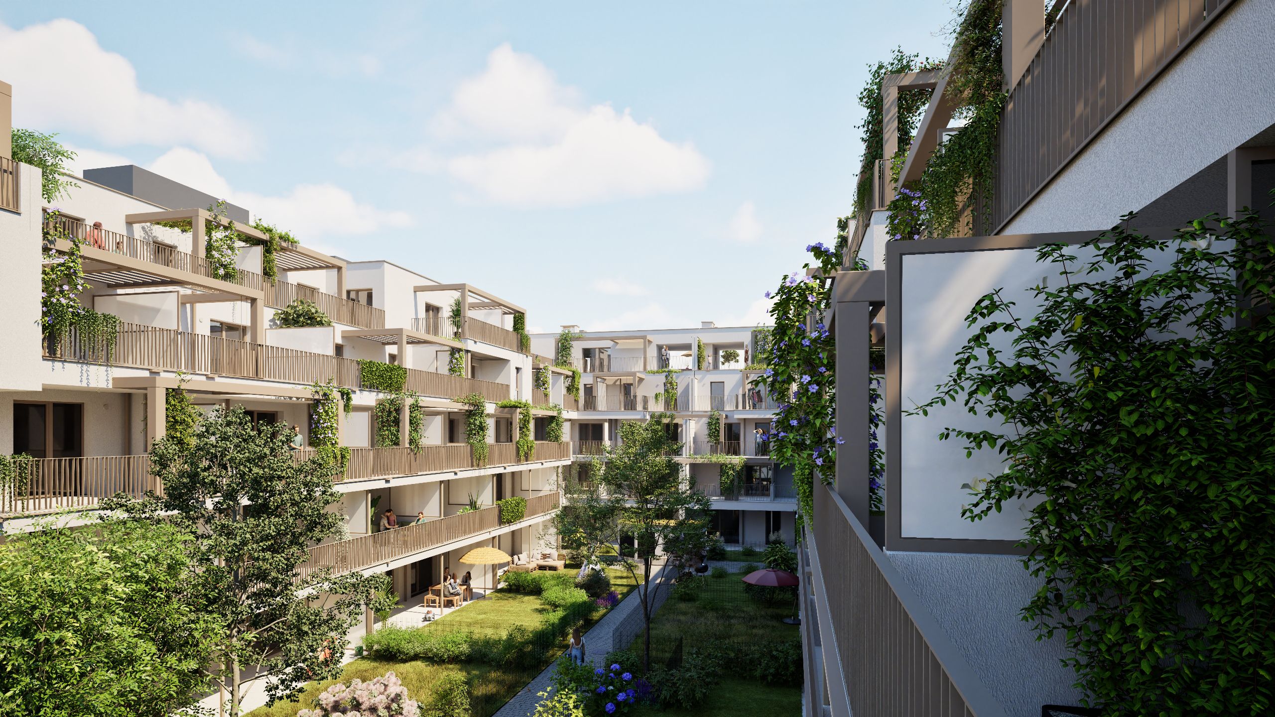 Titelbild von Terrazza22
